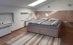 Vila Danin With Free Garage,Stari Grad